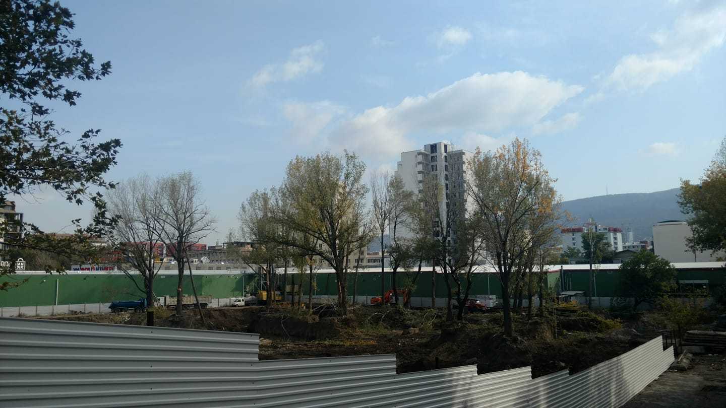 Protest after trees ‘cut down’ in Tbilisi