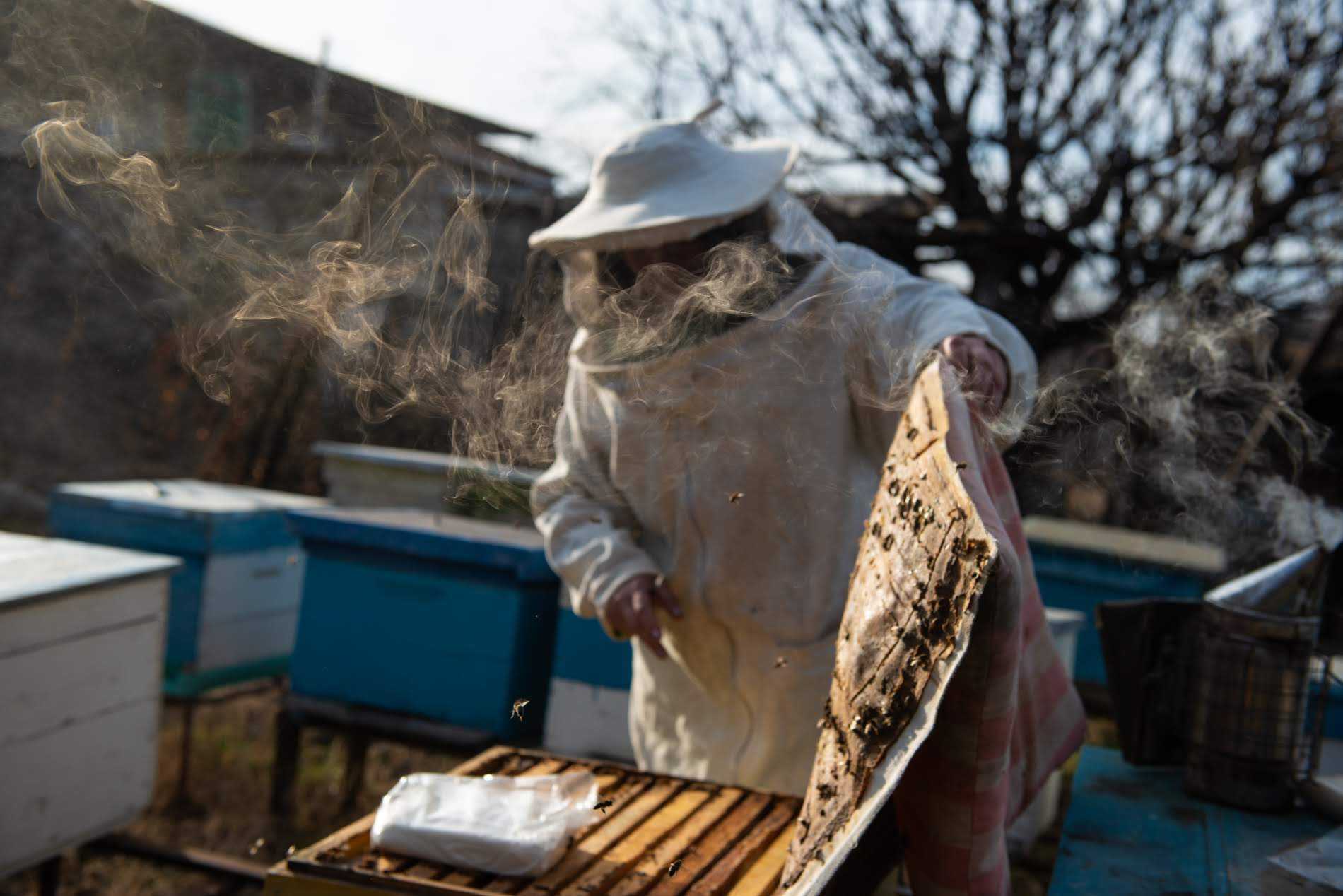 Lali is a self-taught beekeeper with 14 years of experience. Photo: Tamuna Chkareuli/OC Media.
