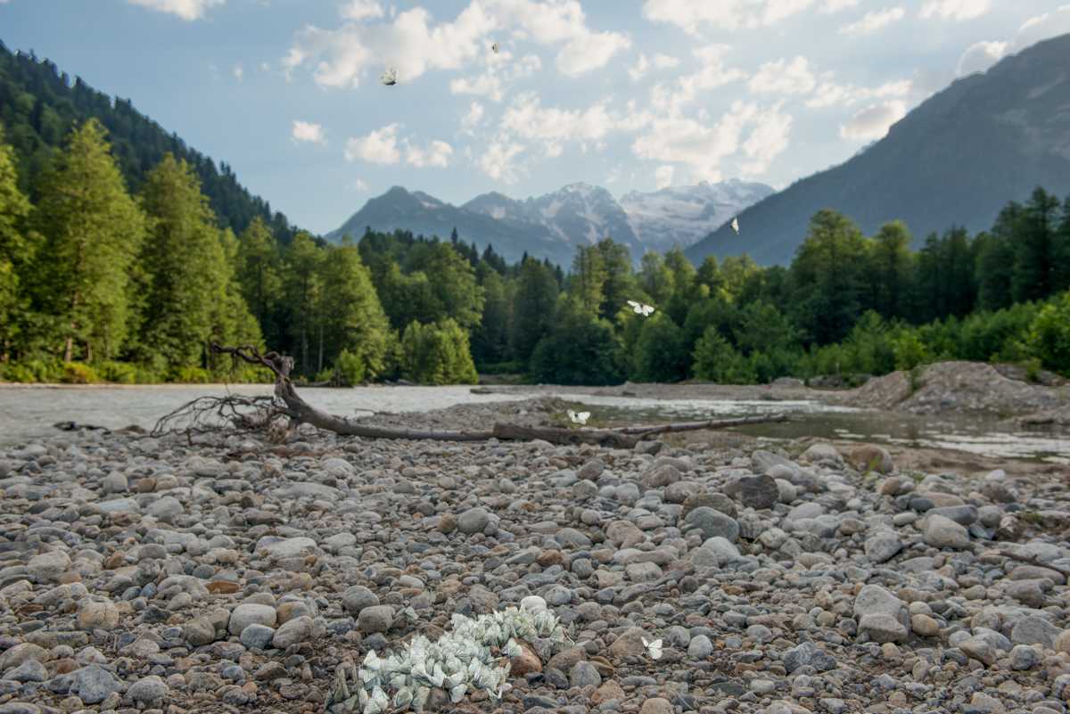 Future territory of the Nenskra reservoir. Photo: Tamuna Chkareuli/OC Media. 