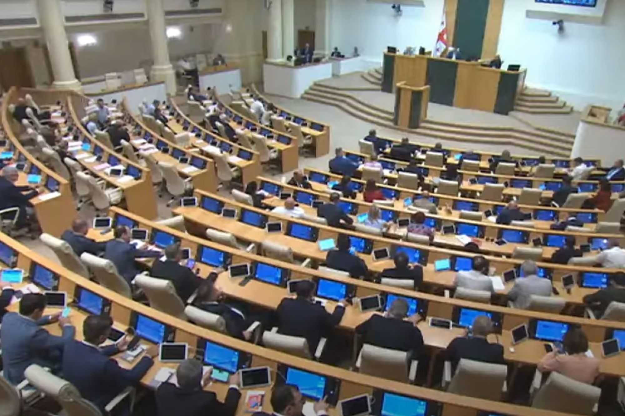 Members of parliament present during the vote. Screengrab: Georgian Parliament/YouTube.